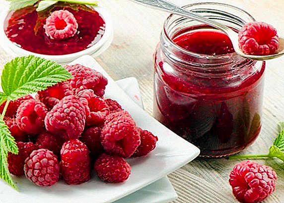 How to make raspberry jam at home