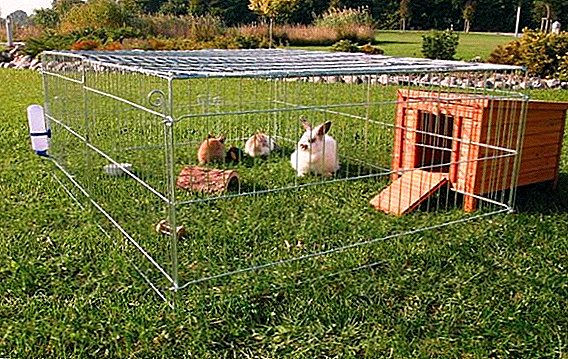 How to make a rabbit enclosure with your own hands