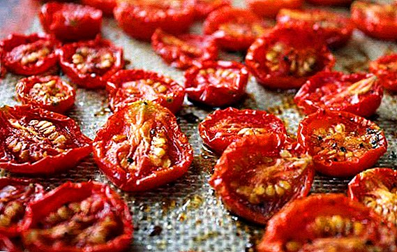 كيفية صنع الطماطم المجففة في المنزل