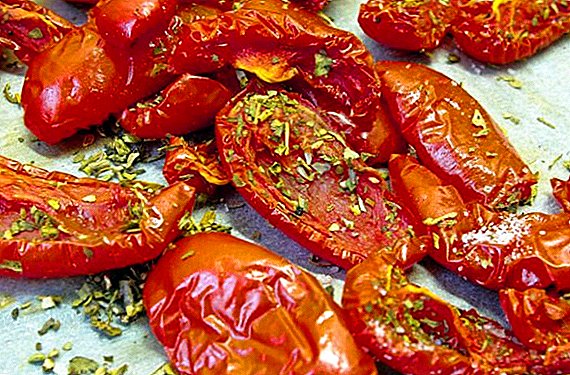 Hoe gedroogde tomaten thuis maken?