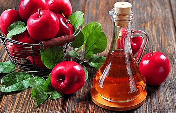 Hvordan laver æblecider eddike hjemme
