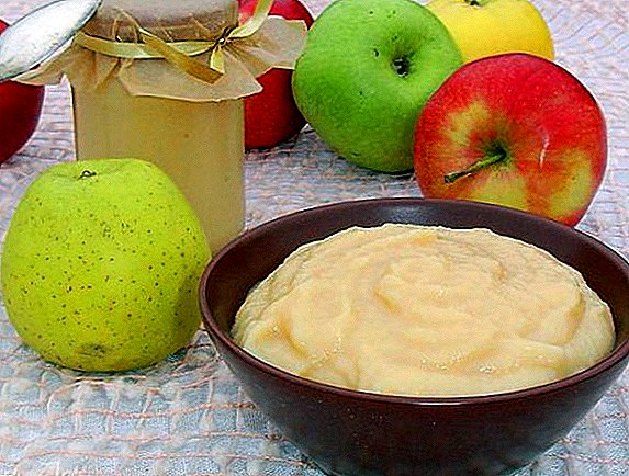 How to make applesauce with condensed milk: a step by step recipe with photos