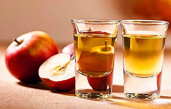 Wie man Apfelwein macht: ein Rezept für Hausmannskost