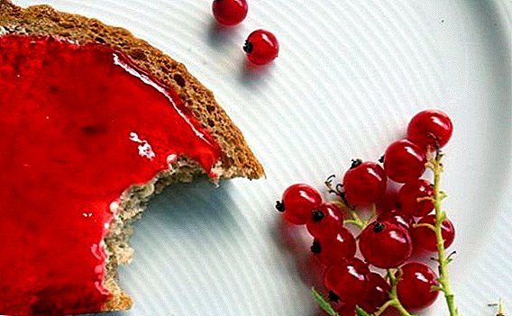 How to cook jam from porechka (red currant)
