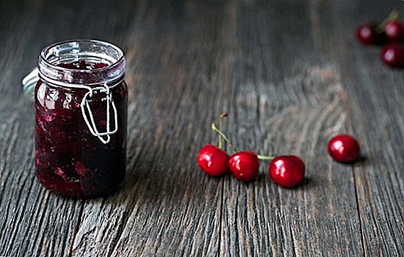 How to cook jam from pitted cherries for the winter: step by step recipes with photos