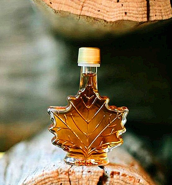 How to cook maple syrup, and how it is useful