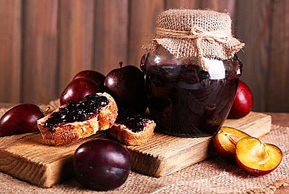 How to cook plum jam for the winter