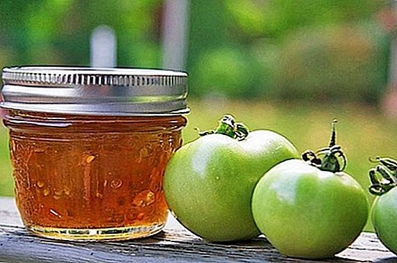 How to cook jam from green tomatoes for the winter