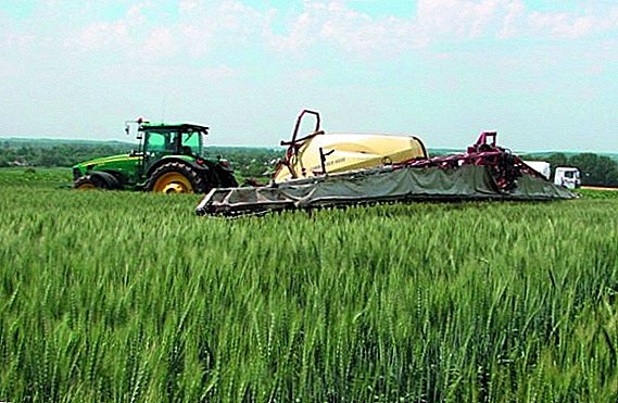 How to fertilize crops: application rates