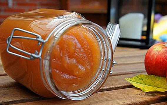 Wie man Marmelade aus Äpfeln kocht: Rezepte mit Fotos