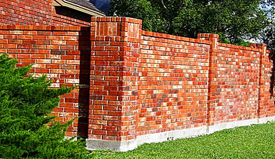 How to choose and install a brick fence at the dacha