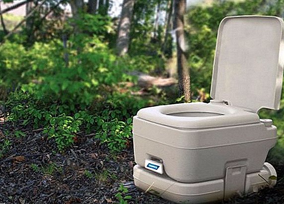 Cum să alegeți cea mai bună bio-toaletă pentru cabana de vară, sfaturi pentru grădinari începători