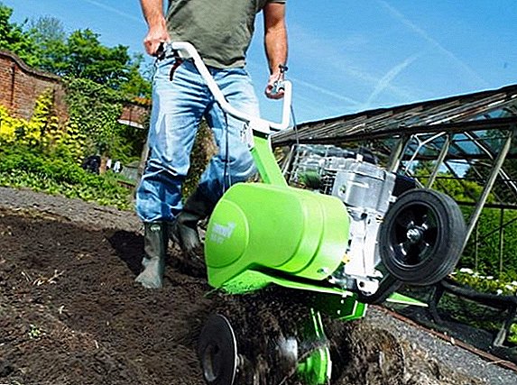 How to choose a motor cultivator, inexpensive and reliable