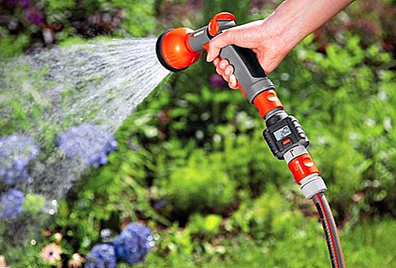 How to choose a hose for irrigation: types and characteristics of garden hoses