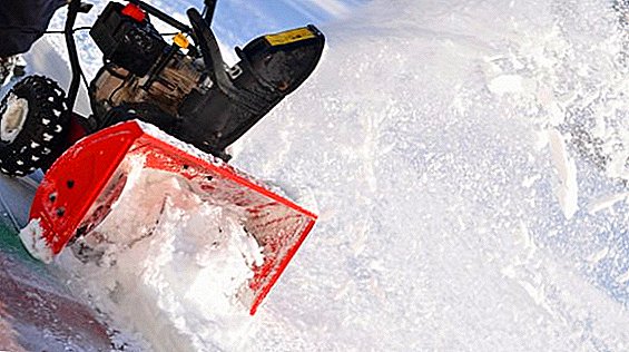 How to choose a snow blower to give, tips and tricks