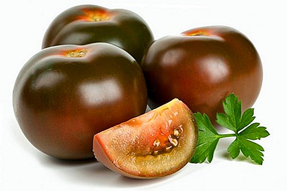 Hoe een "Zwarte Prins" te kweken, planten en verzorgen van "zwarte" tomaten