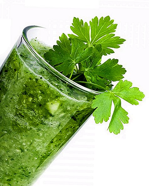 How to squeeze parsley juice at home