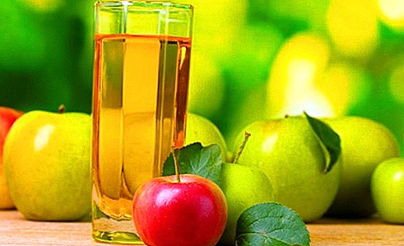 Kako iscijediti sok od jabuke bez štampe i sokova kod kuće