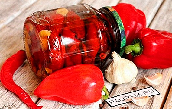 Jak připravit bulharské pečené papriky na zimu: krok za krokem recept s fotografiemi