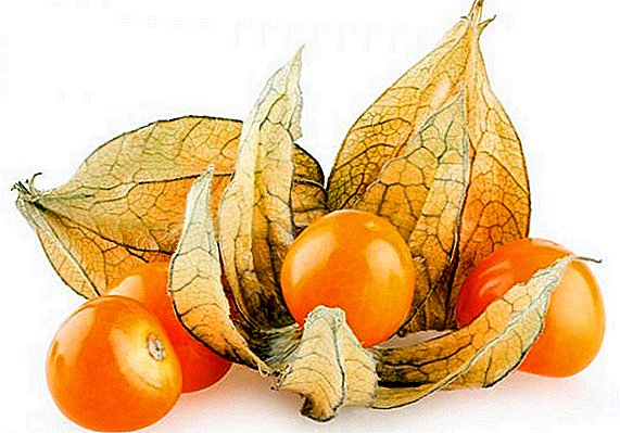 Hoe Physalis te bereiden voor de winter: recepten voor de bereiding van bessen en fruit Physalis