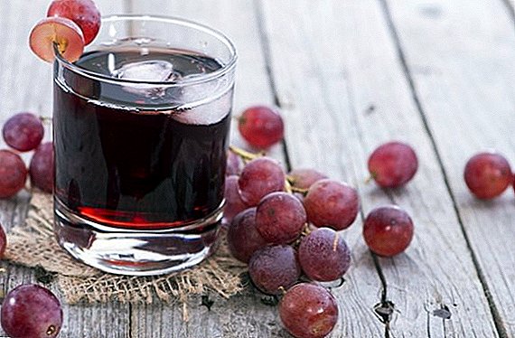 Cómo preparar zumo de uva para el invierno.