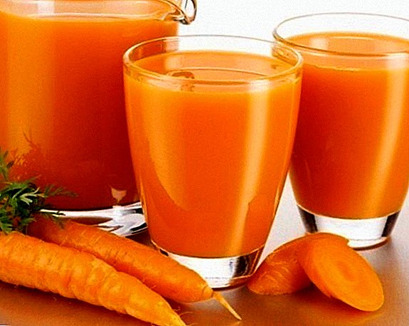 How to roll up carrot juice for the winter