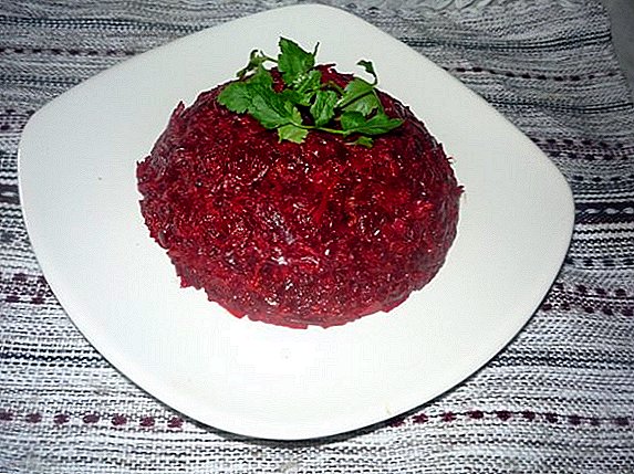 How to preserve beet caviar for the winter: a step by step recipe with photos