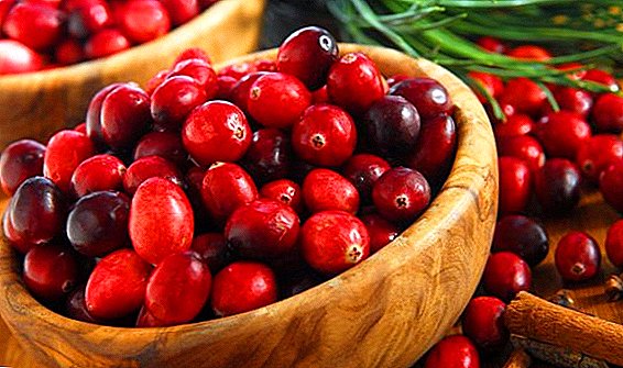 How to freeze cranberries for the winter in the refrigerator
