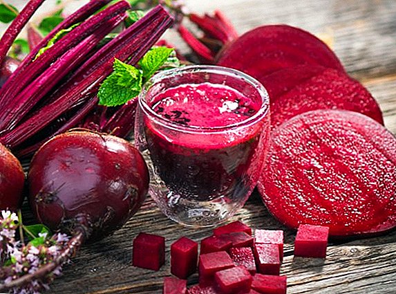 How to freeze the beets for the winter in the freezer