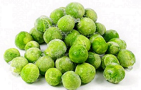 How to freeze green peas for the winter