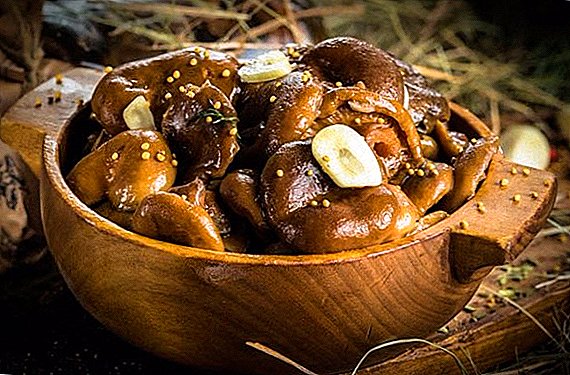 How to pickle mushrooms for the winter in the banks: a simple and delicious recipe with photos