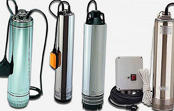 What are and how to choose the best submersible pump for the dacha