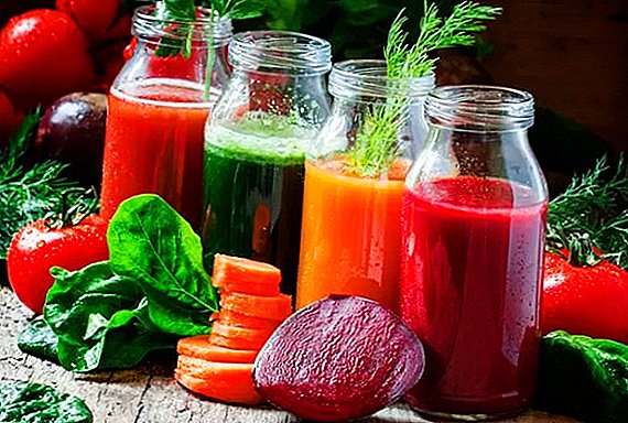 ¿Qué son los jugos vegetales y para qué sirven?