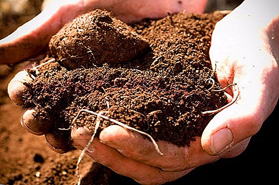 What are the types of soil