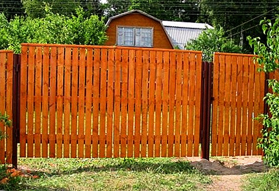 Apakah bahan-bahan untuk pagar, dan mana yang lebih baik