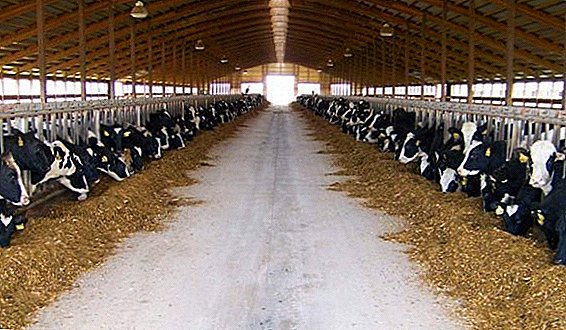 What parameters characterize the microclimate of livestock buildings