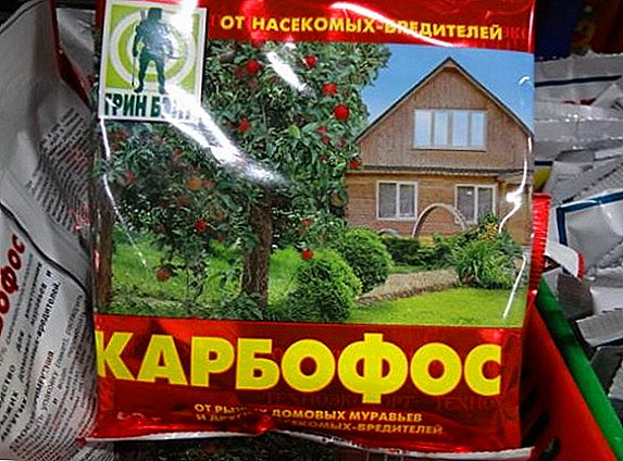 Karbofos: instructions for use in the garden