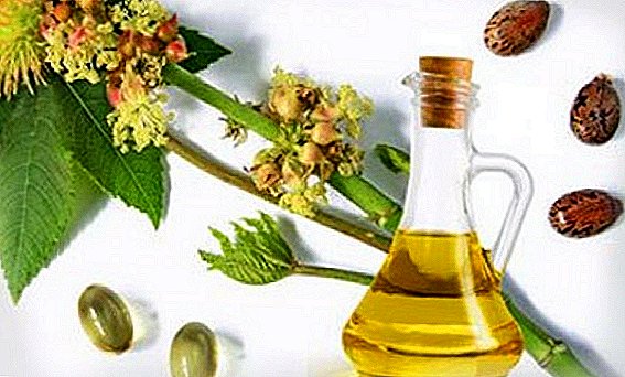Castor Flower Oil