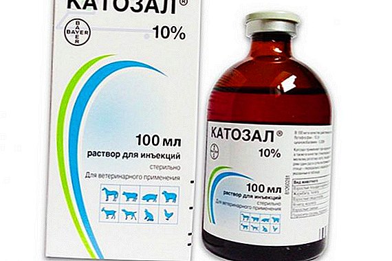 "Katozal" البيطرية: تعليمات للاستخدام
