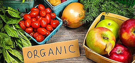 China berminat dengan produk organik Ukraine