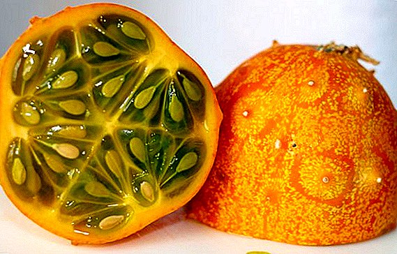 Kivano: vad är och hur man äter det - fördelarna med och skadorna på afrikansk gurka