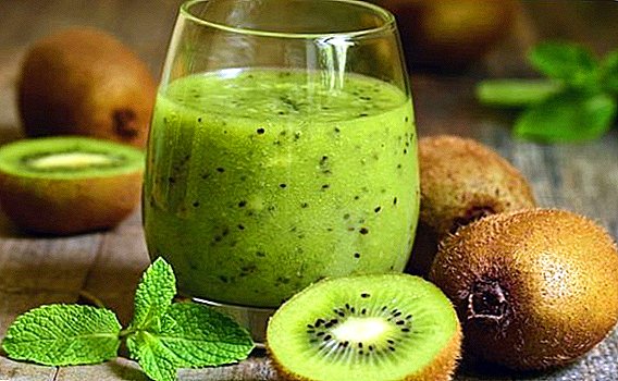 Kiwi: useful or harmful? Application and effects on the body