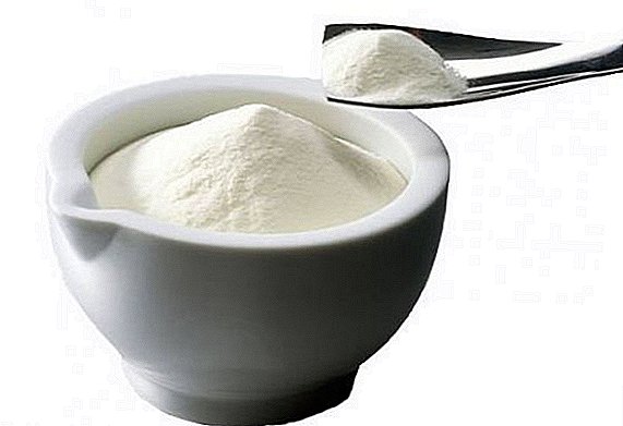Combineren in de Stavropol regio begint met de productie van poeder lactose