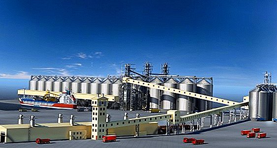 Công ty Novotech-Terminal đã bắt đầu xây dựng một nhà máy ngũ cốc tại cảng biển thương mại Odessa