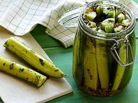 Ingeblikte komkommers met mosterdzaadjes voor de winter: een stap voor stap recept