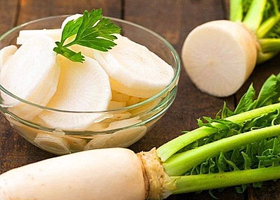 We preserve daikon for the winter, recipes
