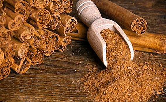 Cinnamon: what is useful, what helps, where to add, how to apply