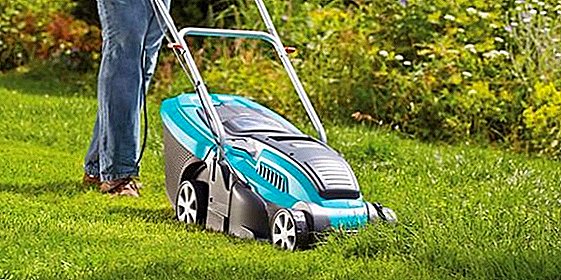 Criteria for choosing an electric lawn mower, how to choose an assistant to give
