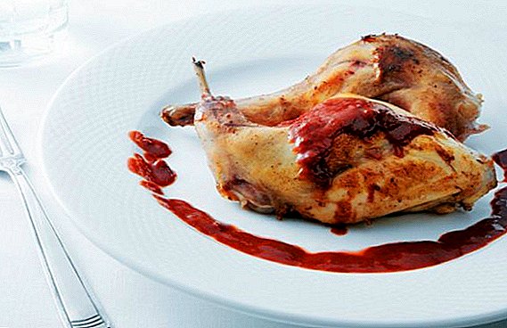 Konijnenvlees (konijnenvlees): dieet of niet, dan nuttig, met wat is gecombineerd