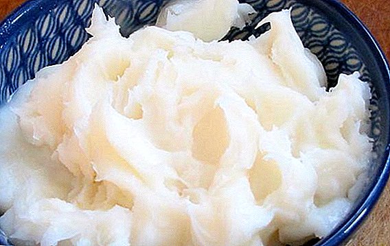 Rabbit fat: what is useful, how to use